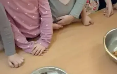 573405383_1269156308571433_8304467501770287699_n