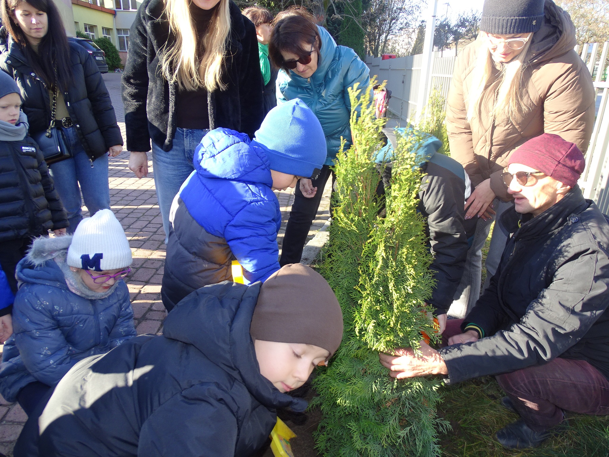 dzieci sadzą zielone drzewa