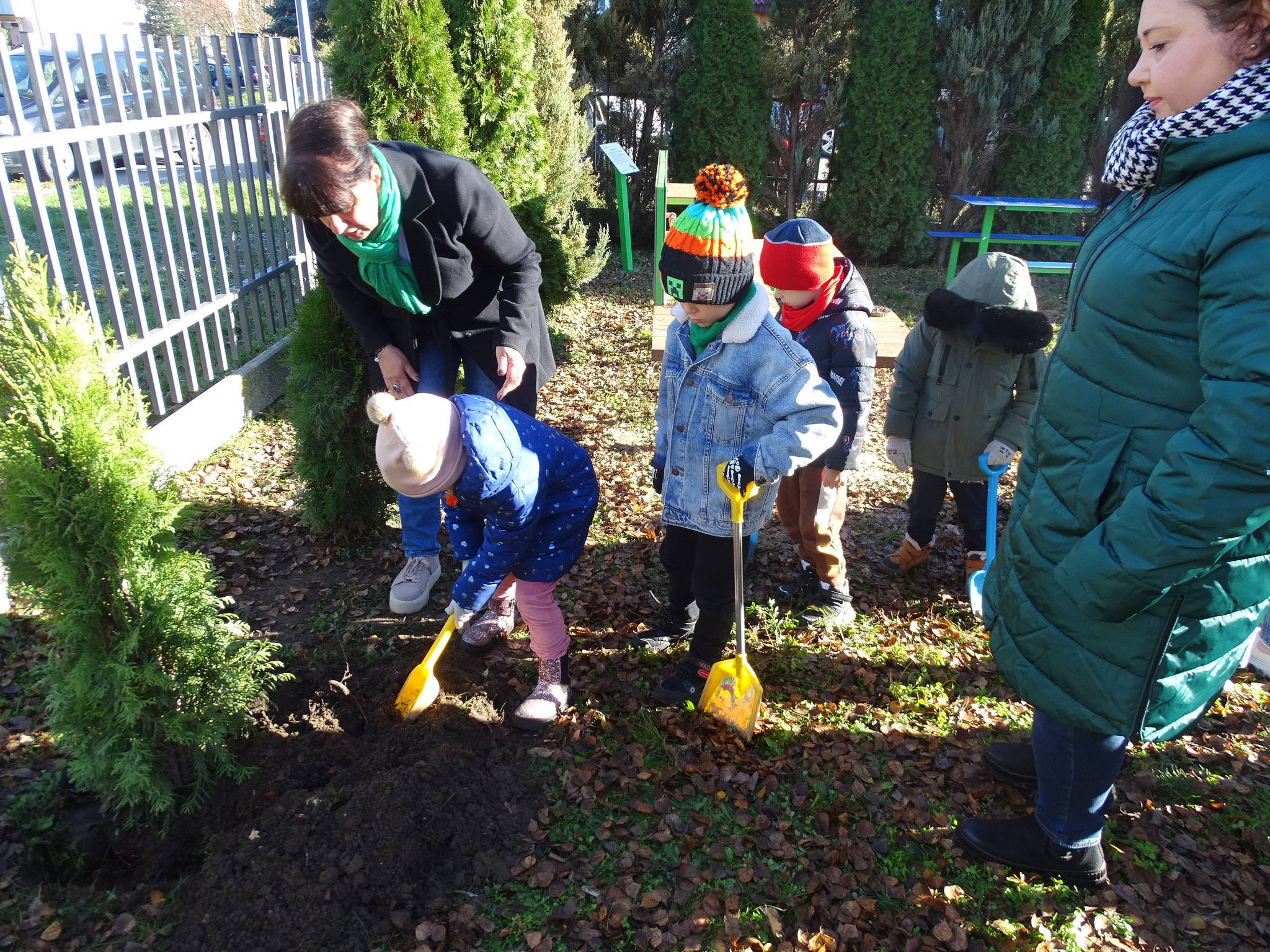 dzieci sadzą zielone drzewa