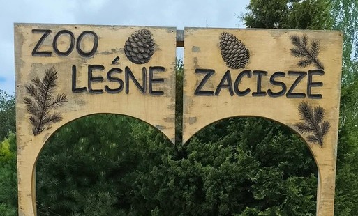 Wycieczka dzieci z przedszkola do ZOO