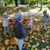 Kolorowe liście spacer