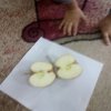 jeżyki poznają budowę jabłka