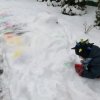 Jeżyki malują śnieg
